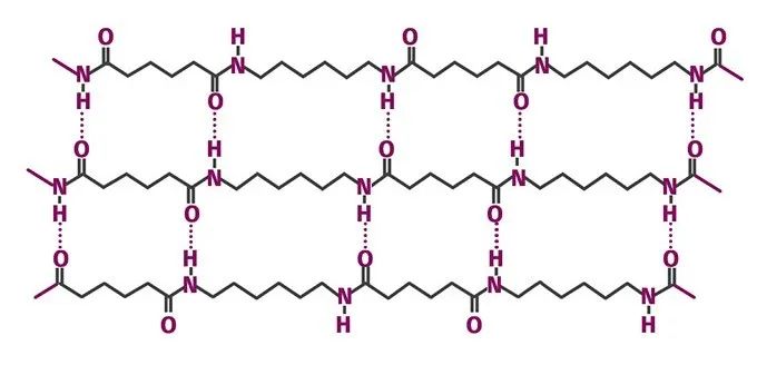 圖1. PA66 的化學結構使得酰胺基團能夠形成氫鍵